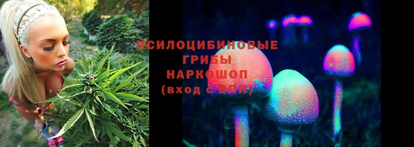 прущая мука Аркадак