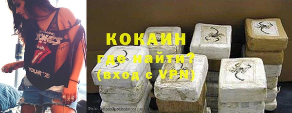 сатива Арсеньев